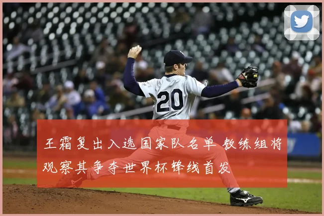 王霜复出入选国家队名单 教练组将观察其争夺世界杯锋线首发