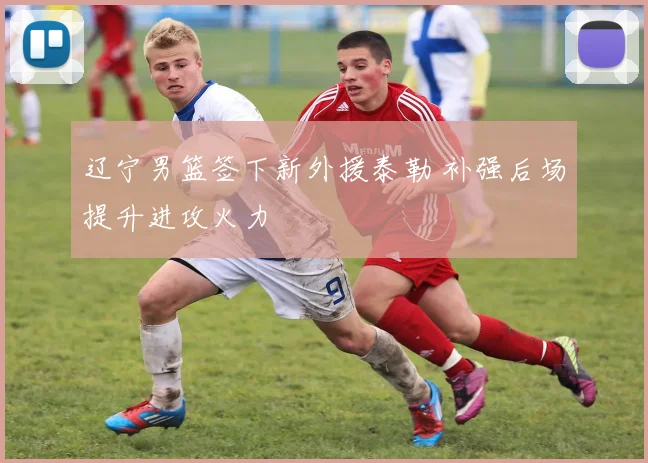 辽宁男篮签下新外援泰勒 补强后场提升进攻火力