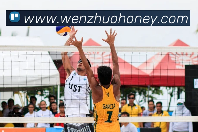 云开体育官方登录入口服务体系